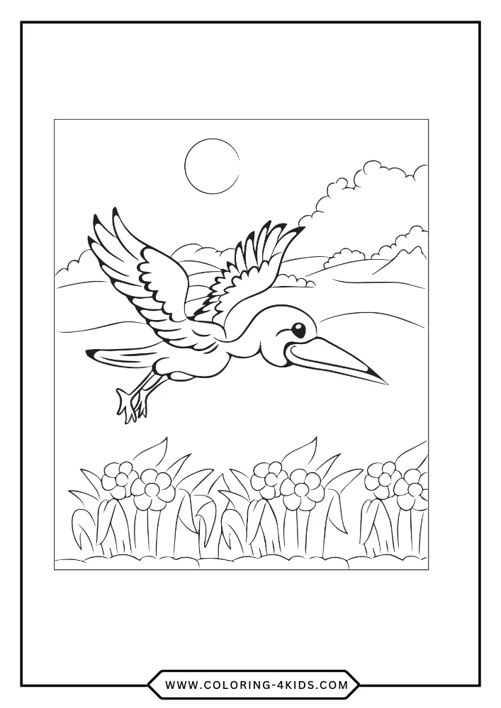 Birds coloring book preview page 2