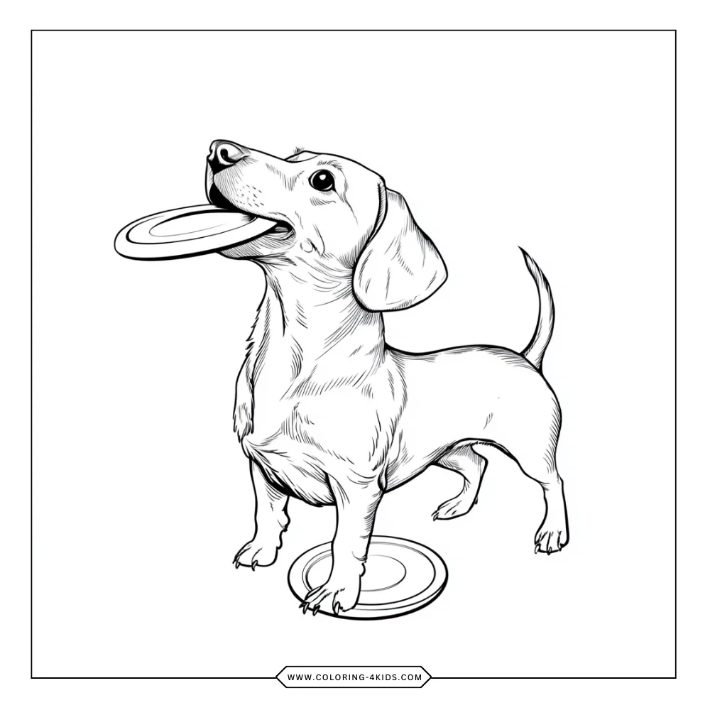 Dachshund coloring book preview page 1
