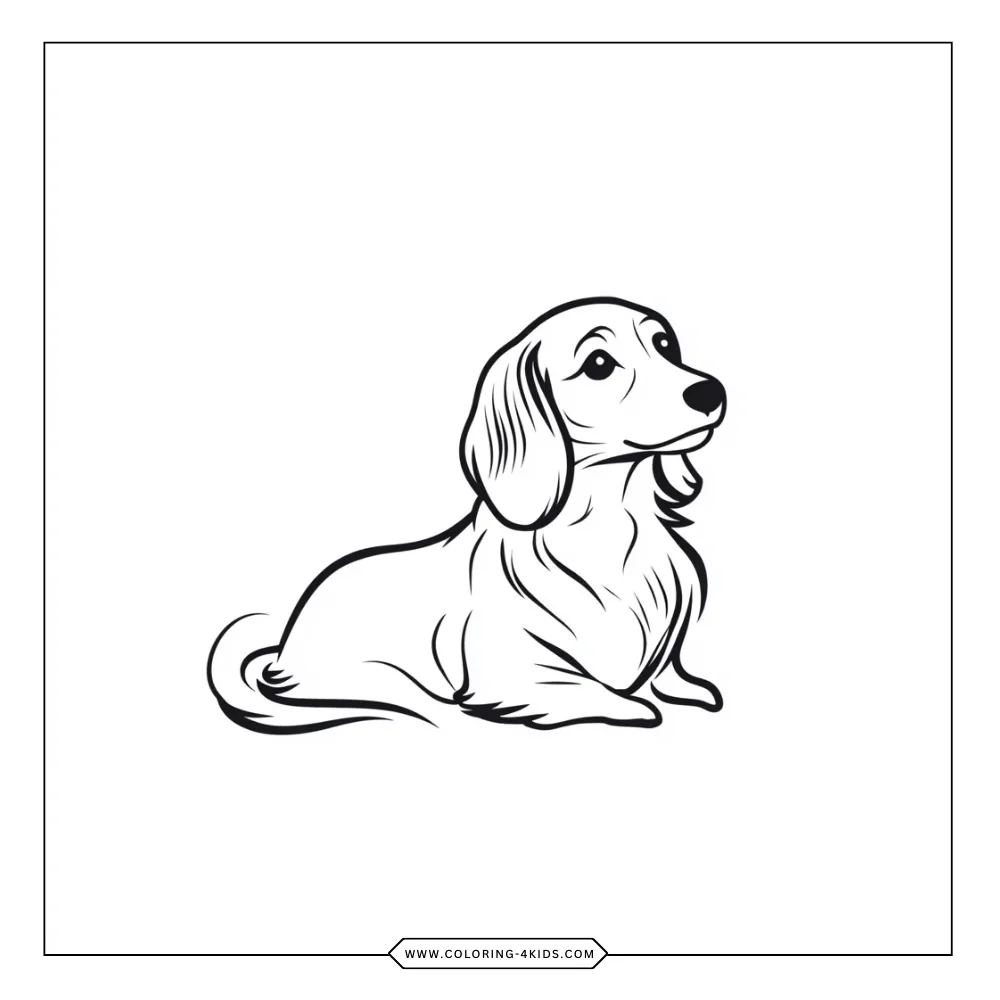 Dachshund coloring book preview page 3