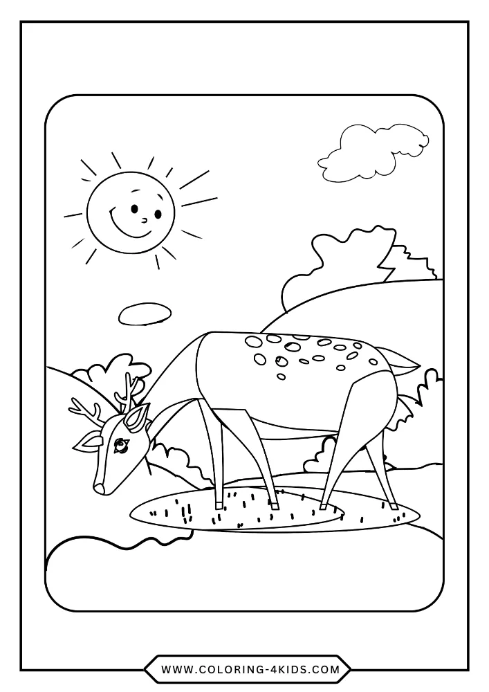 Deer coloring book preview page 4