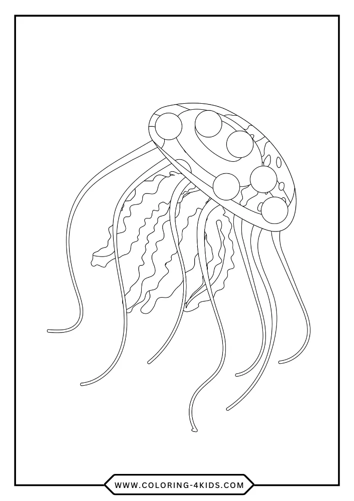 Jellyfish coloring book preview page 3
