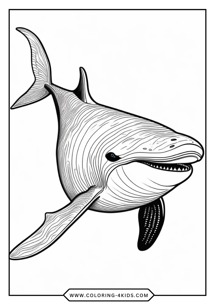 Killer Whale coloring book preview page 4