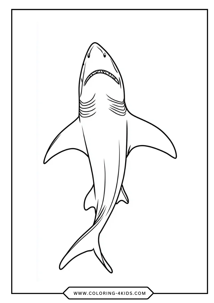 Shark coloring book preview page 1