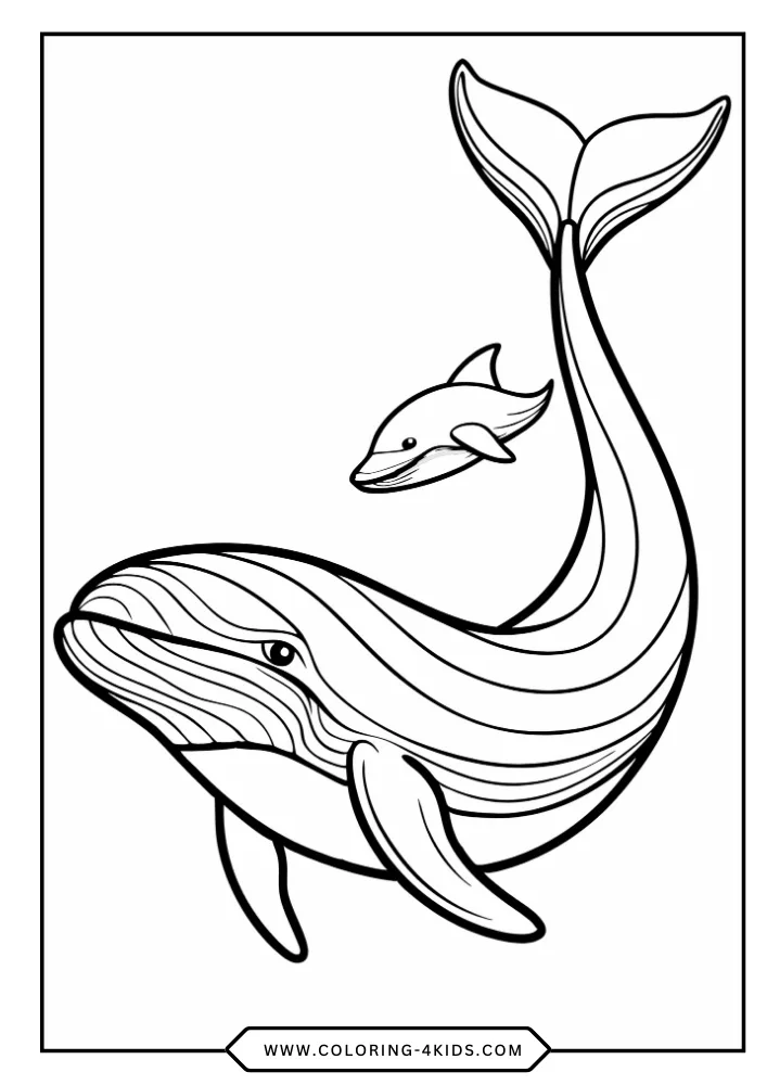 Whale coloring book preview page 2
