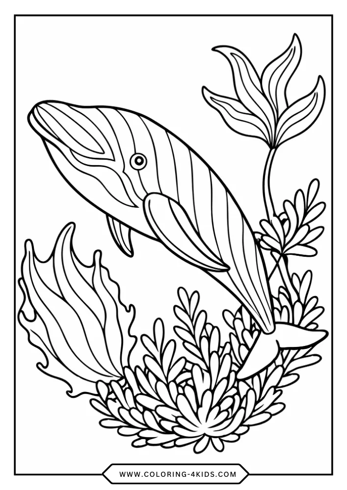 Whale coloring book preview page 3