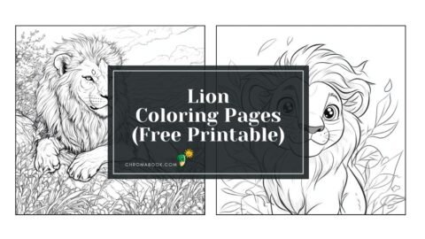 Lion Coloring Pages