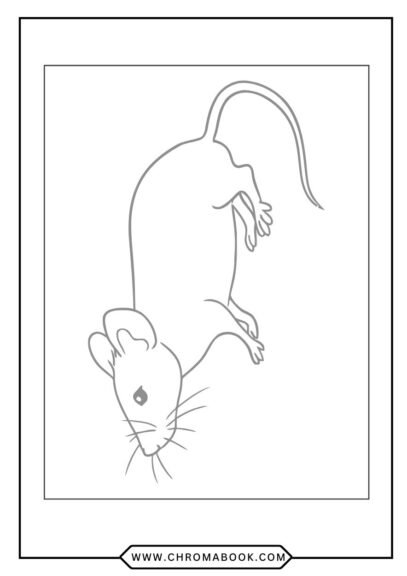 A whimsical rat surrounded by intricate floral patterns, perfect for creativity. Enjoy this free printable coloring page!