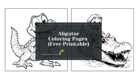 printable alligator coloring pages