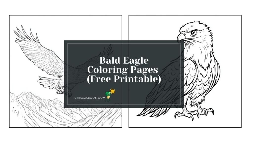 A majestic bald eagle spreads its wings in this detailed coloring page, perfect for nature lovers; free printable for creative fun!
