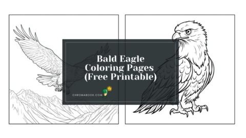 A majestic bald eagle spreads its wings in this detailed coloring page, perfect for nature lovers; free printable for creative fun!