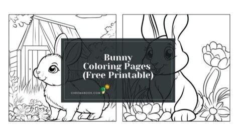 A whimsical bunny surrounded by floral patterns on this free printable coloring page, perfect for creative fun!