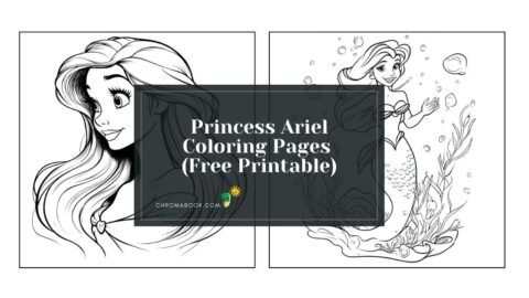 A whimsical coloring page featuring Princess Ariel surrounded by ocean-themed elements, perfect for a free printable activity.