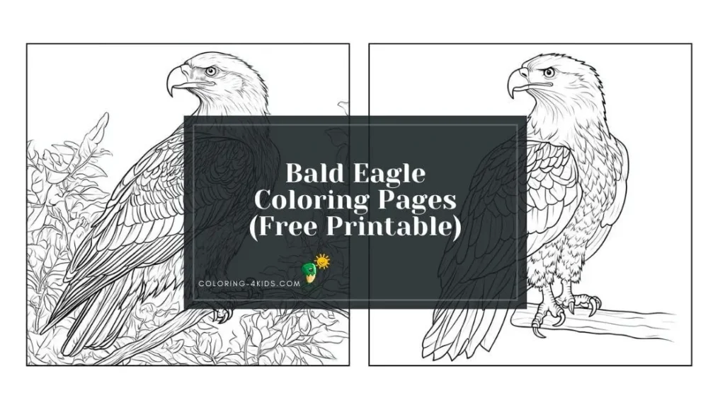 bald eagle coloring