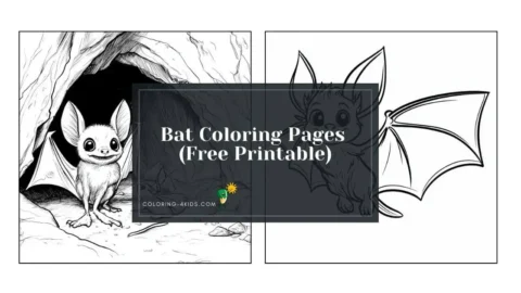 bat coloring