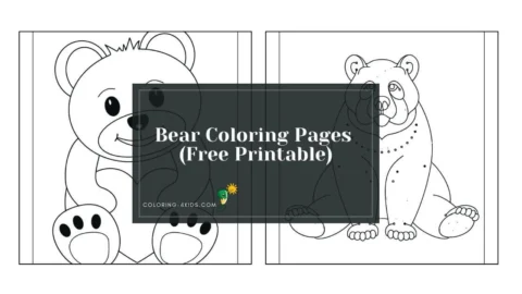 bear coloring