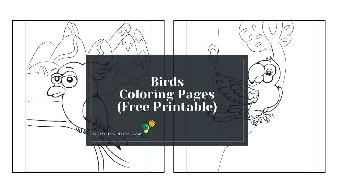 birds coloring pages