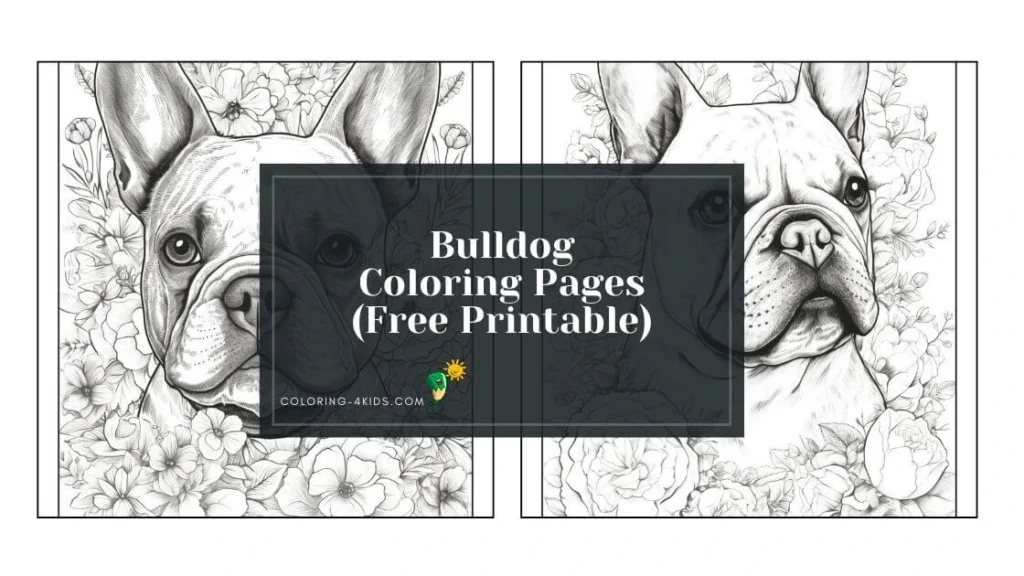 bulldog coloring pages