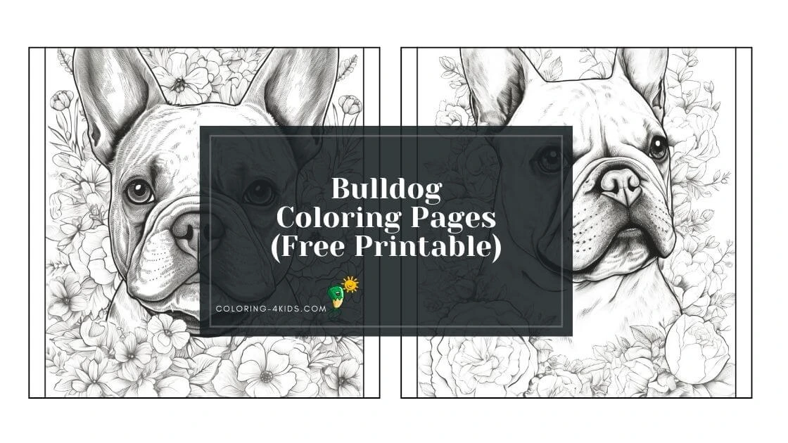 bulldog coloring pages