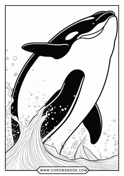 A detailed killer whale coloring page featuring intricate patterns and designs, perfect for creativity. Free printable for all ages!