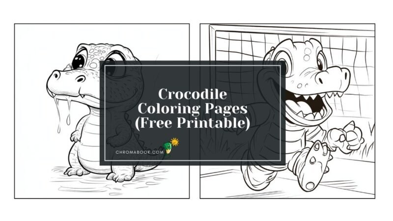 Crocodile Coloring Pages - Free Printable PDF