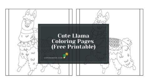 A whimsical cute llama surrounded by playful patterns and flowers, perfect for a fun coloring page. Free printable for all ages!