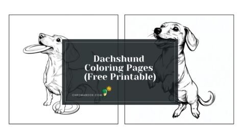 A delightful dachshund coloring page featuring playful pups in whimsical poses, perfect for a free printable creative activity.