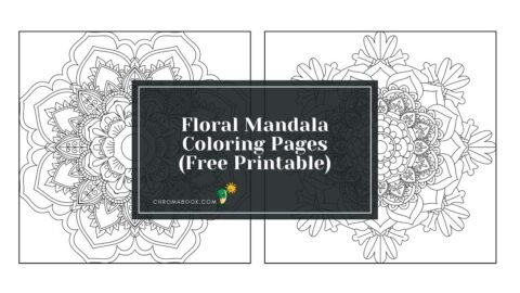 Intricate floral mandala design featuring blooming flowers and swirling patterns, perfect for a relaxing coloring page. Free printable!