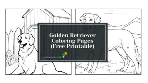 A delightful coloring page featuring an adorable Golden Retriever surrounded by playful designs. Enjoy this free printable for creativity!
