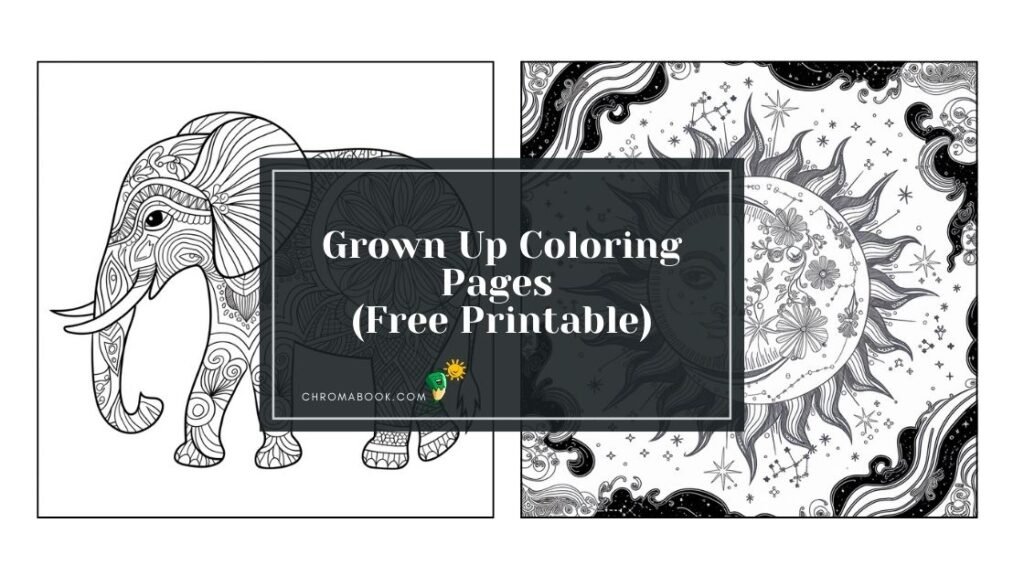 Intricate mandala design featuring floral patterns and geometric shapes, perfect for relaxation. Coloring page, free printable.