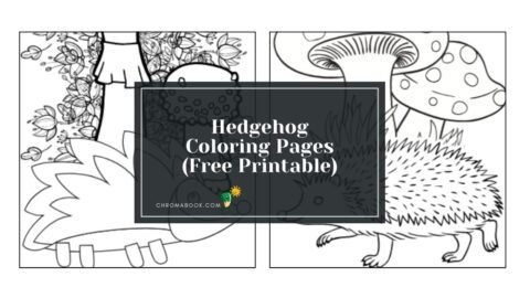A cute hedgehog surrounded by whimsical flowers, perfect for creativity. Free printable coloring page for all ages!
