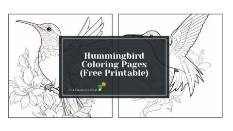 A detailed hummingbird illustration surrounded by flowers, perfect for creative expression in this free printable coloring page.