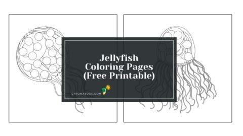 A whimsical jellyfish coloring page featuring intricate tentacles and flowing forms, perfect for relaxation and creativity. Free printable!