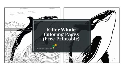 A detailed coloring page featuring a majestic killer whale swimming amidst ocean waves, perfect for a free printable activity.