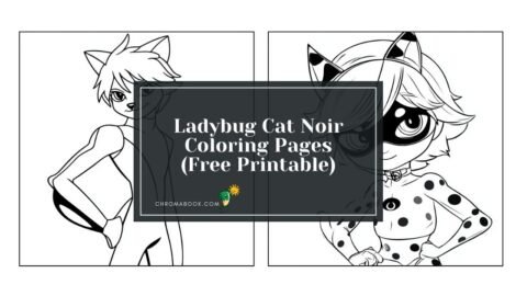 Coloring page featuring Ladybug and Cat Noir in a dynamic pose, surrounded by playful patterns. Free printable for creative fun!