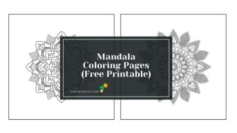 Intricate mandala design featuring symmetrical patterns and floral elements, ideal for relaxation. Coloring page and free printable.