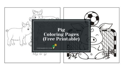 A whimsical pig coloring page featuring playful designs and patterns, perfect for creative fun. Free printable for all ages!