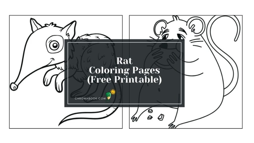 A detailed rat illustration surrounded by whimsical patterns, perfect for a fun coloring page. Enjoy this free printable design!