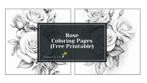 Intricate rose designs with flowing petals and leaves create a beautiful floral coloring page, perfect for relaxation—free printable!