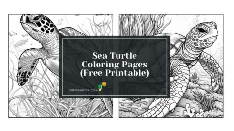 A beautifully detailed sea turtle coloring page featuring intricate patterns, perfect for creativity. Free printable for all ages!