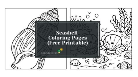 A detailed seashell coloring page featuring various shells and ocean elements, perfect for relaxation. Free printable design for all ages.
