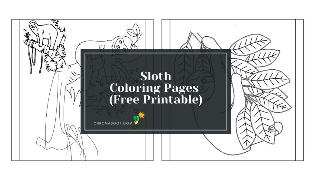 A charming sloth hanging from a tree branch, surrounded by tropical leaves, perfect for a relaxing coloring page, free printable.