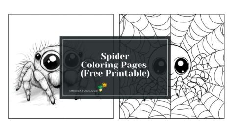 A whimsical spider design with intricate patterns, perfect for a fun and creative coloring page. Free printable for all ages!