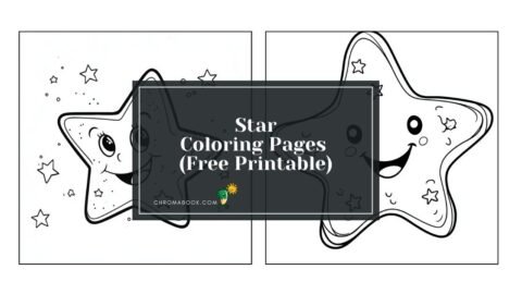 A whimsical star-themed coloring page featuring various star shapes and patterns, perfect for creative expression; free printable.