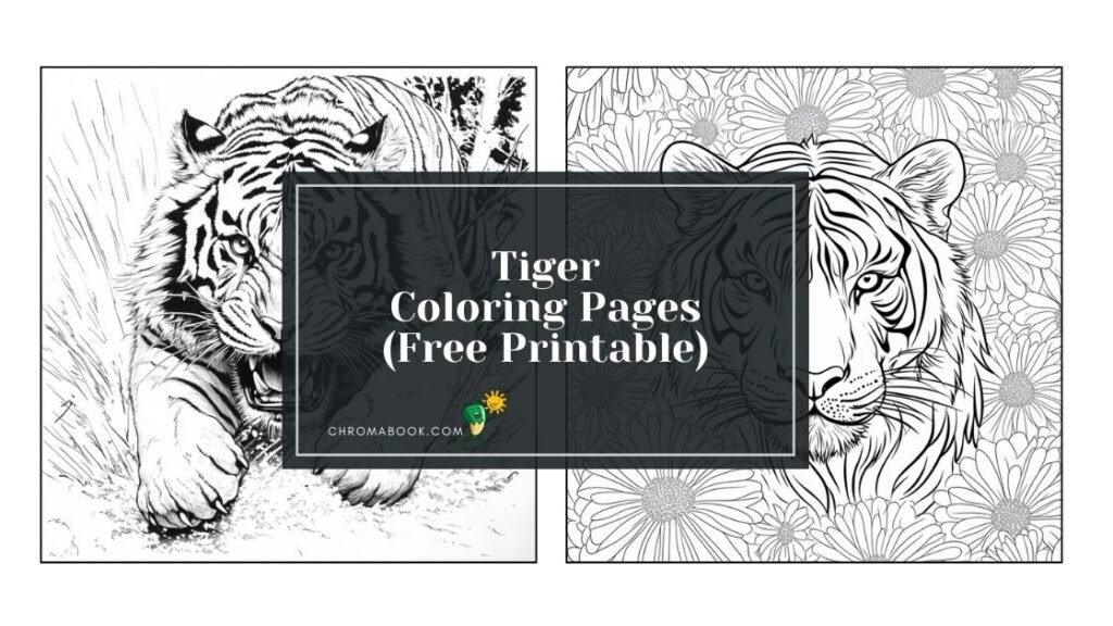 A detailed tiger coloring page featuring intricate patterns and bold lines, perfect for creative expression. Free printable.