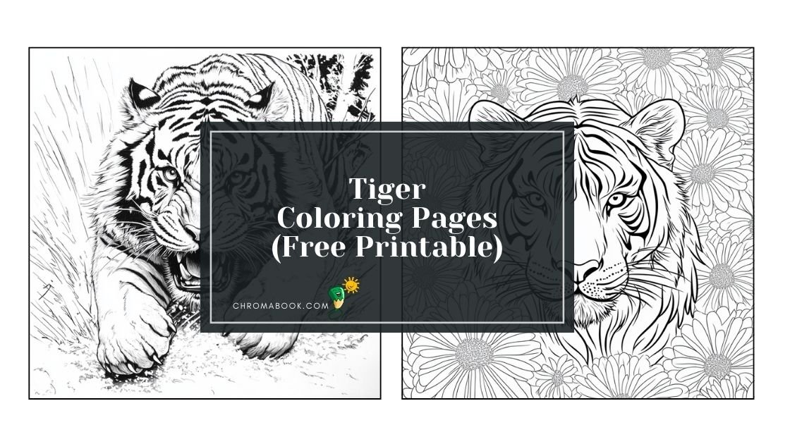A detailed tiger coloring page featuring intricate patterns and bold lines, perfect for creative expression. Free printable.
