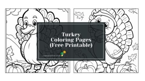 A whimsical turkey with intricate patterns and details, perfect for kids and adults alike. Enjoy this free printable coloring page!