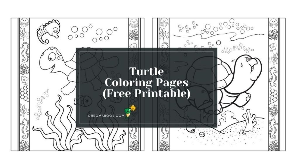A detailed turtle coloring page featuring intricate patterns and designs, perfect for relaxation. Free printable for creative fun!