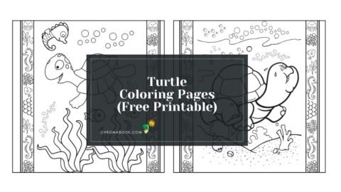A detailed turtle coloring page featuring intricate patterns and designs, perfect for relaxation. Free printable for creative fun!