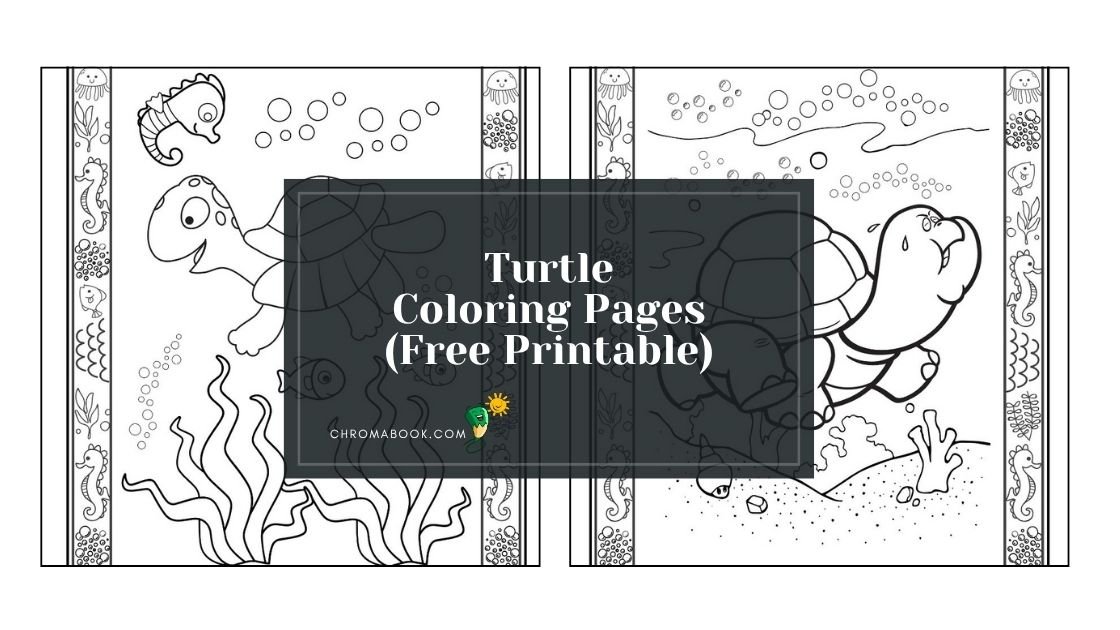 A detailed turtle coloring page featuring intricate patterns and designs, perfect for relaxation. Free printable for creative fun!