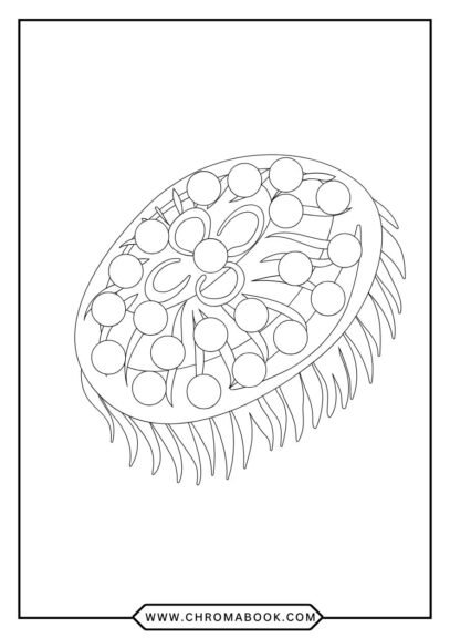 A whimsical jellyfish coloring page featuring intricate tentacles and patterns, perfect for relaxation. Free printable design!